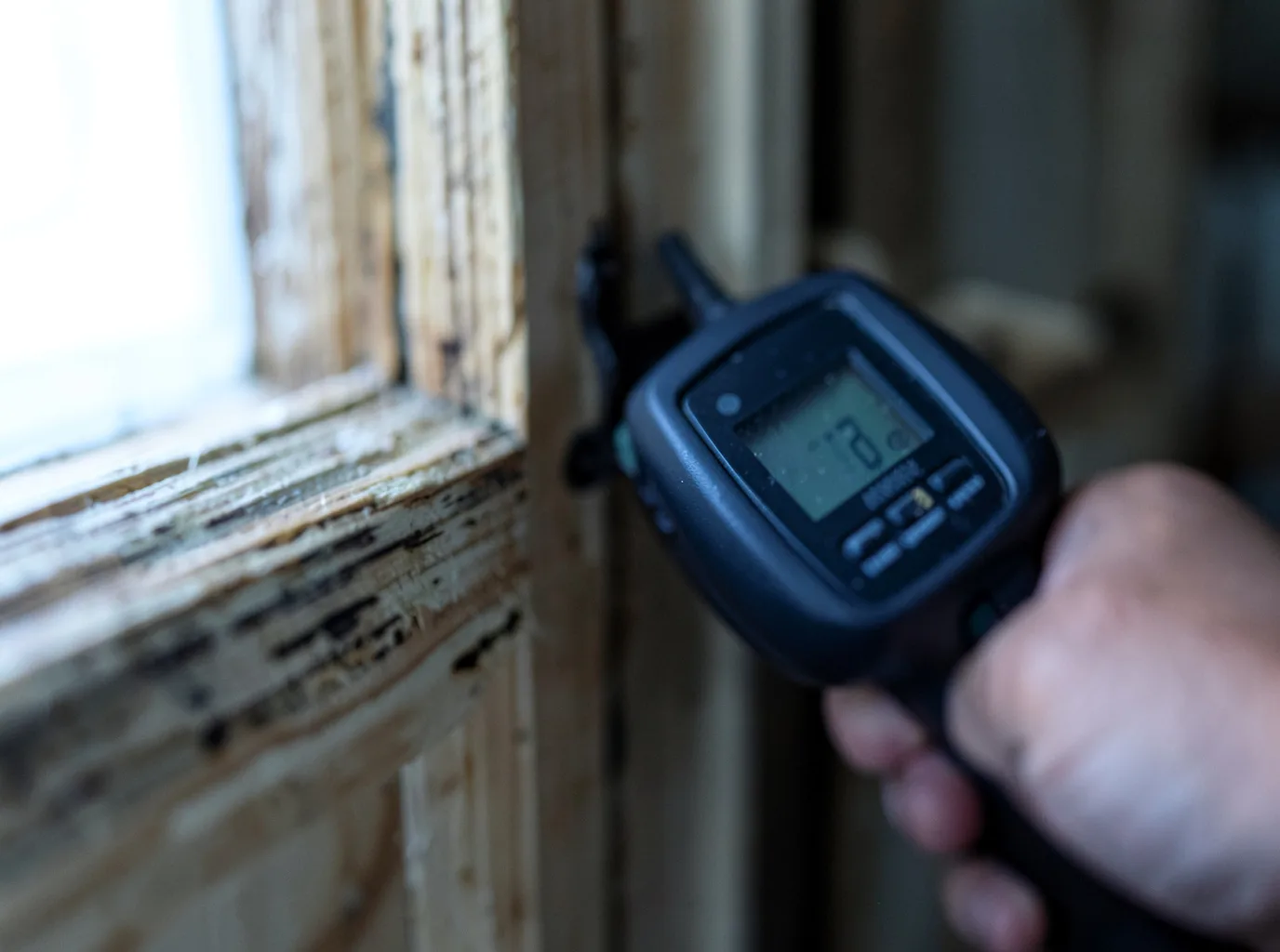 Moisture Inspection And Documentation in Curryville, MO